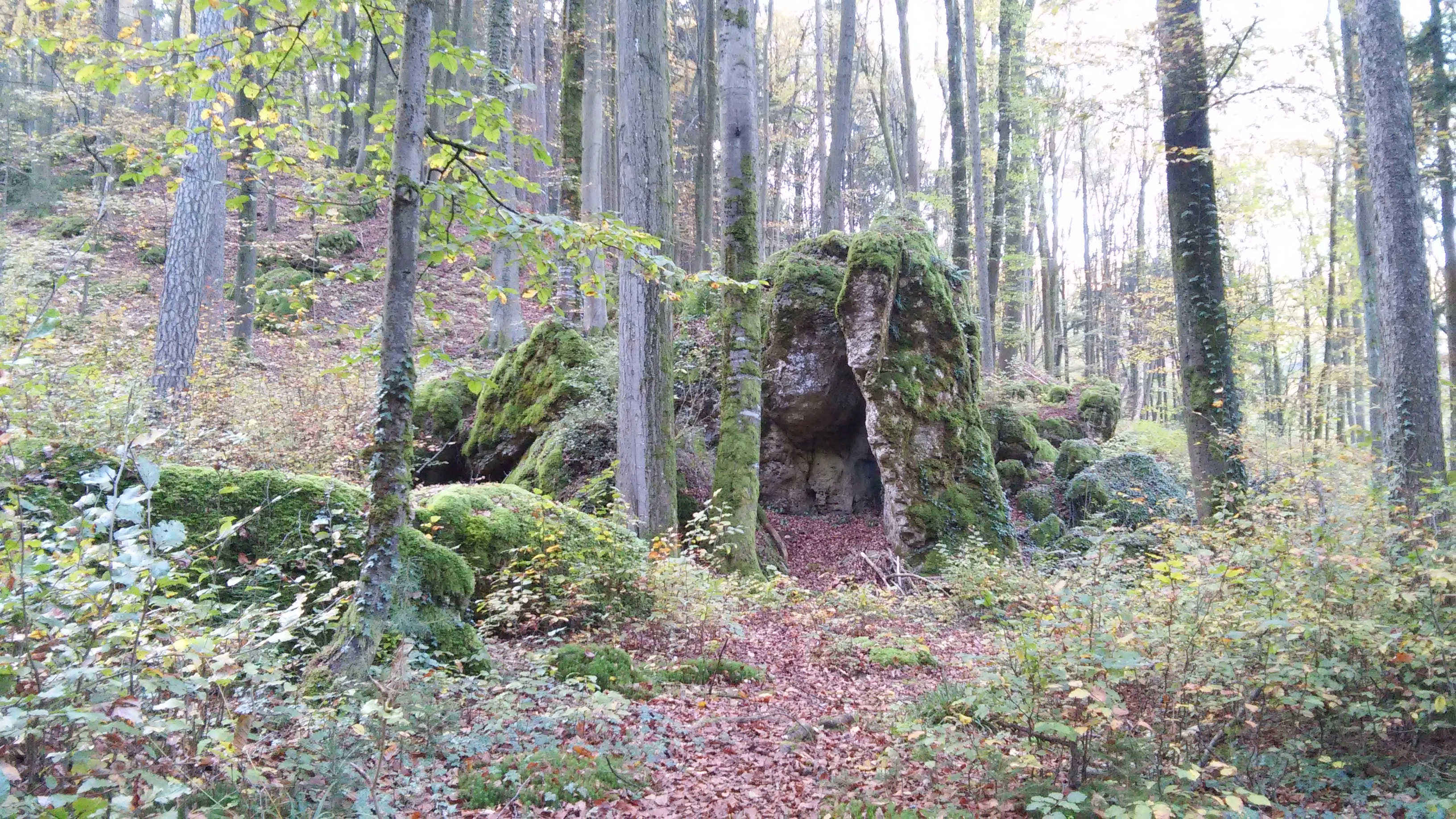 Druidenhain