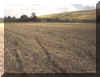 Energy grids on the field of the Barbury Castle pictogram / Energienetze  auf dem Feld des Barbury Castle pictogram